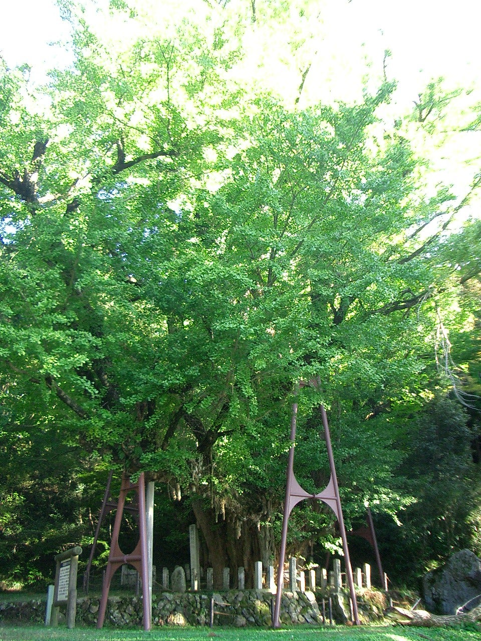 イメージ 1