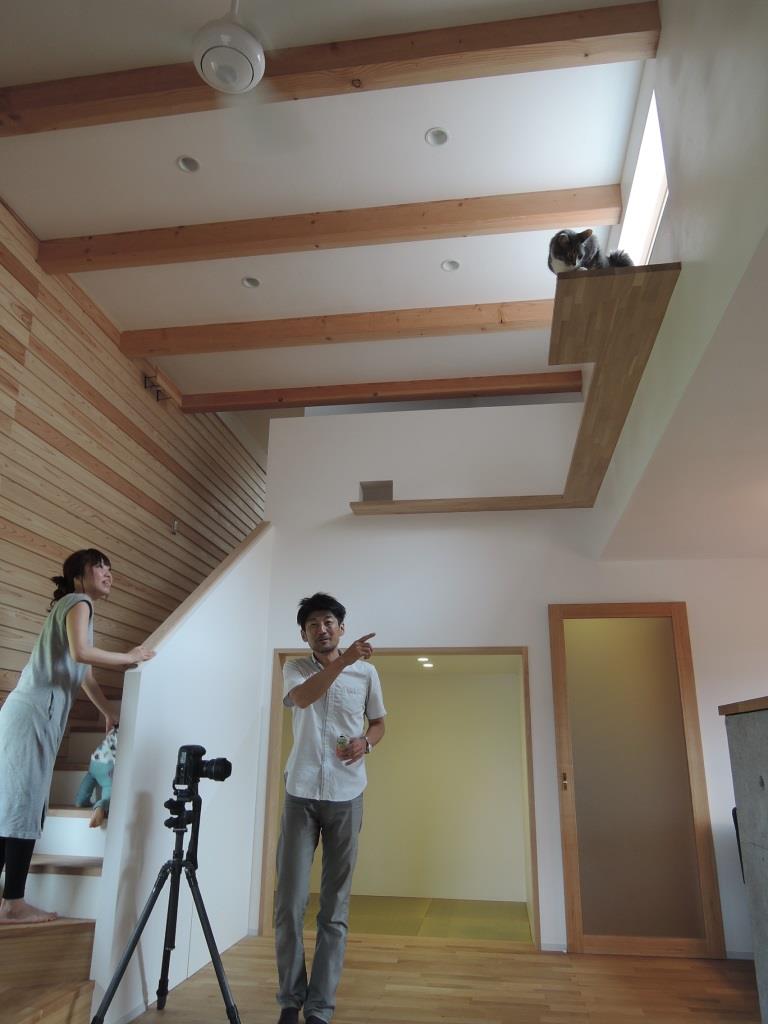 イメージ 3