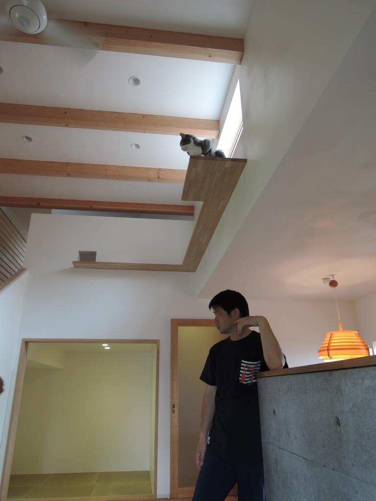 イメージ 4